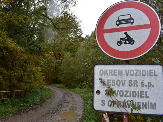 Zákon o lesoch hovorí jasne, čo je v lesoch zakázané: Jeho porušenie vás môže stáť nemalé peniaze