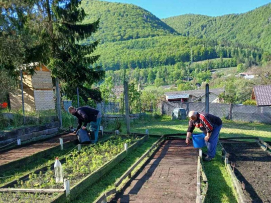 Mestské lesy Košice o jarnej obnove porastov: Vysadených viac ako 20 000 stromčekov, vyzdvihnutých 11 200 semenáčikov na dopestovanie výsadby schopných sadeníc