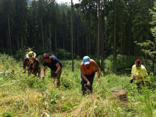 Pôdohospodárska platobná agentúra: Výzva na predkladanie žiadostí o priame podpory na lesnícke opatrenia pre rok 2026