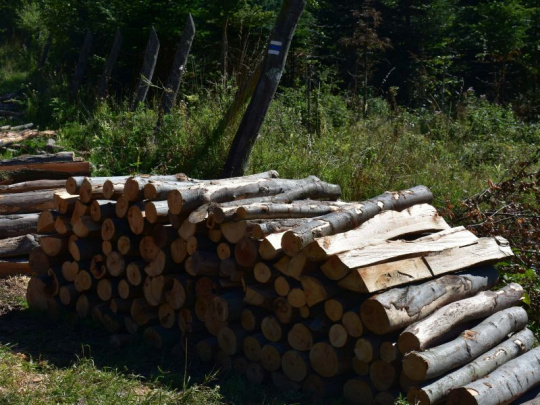 Štát zvažuje pomoc pre domácnosti, ktoré kúria drevom: Náklady stúpajú, ľudia s týmto zdrojom tepla boli doteraz opomínaní
