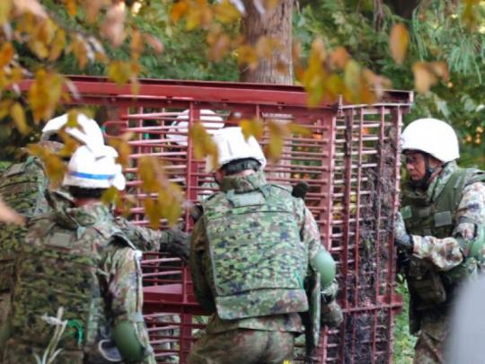Problém s medveďmi pomôže v Japonsku riešiť armáda: Od apríla tieto šelmy zabili v krajine najmenej 13 ľudí a viac ako 100 zranili