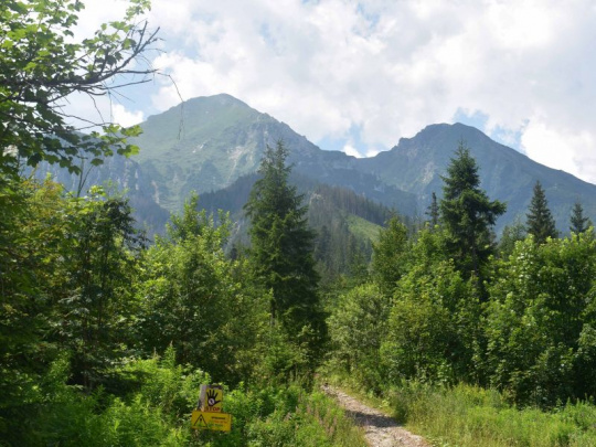 Komentár: Horský les odráža výzvy udržateľného lesníctva