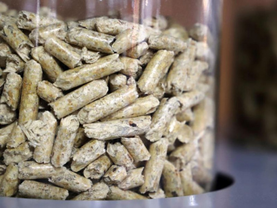 Pelety, brikety, palivové drevo a drevná štiepka majú v energetickom mixe významné postavenie: Podiel biomasy v centralizovanom zásobovaní teplom môže dosiahnuť až 25 percent