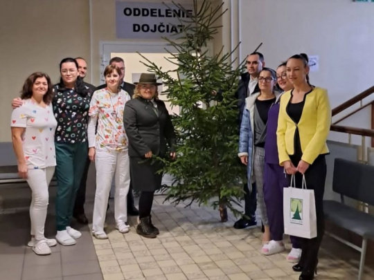 Tradičný projekt Stromček pod stromček pokračuje: Druhý život stromov ako symbolu Vianoc