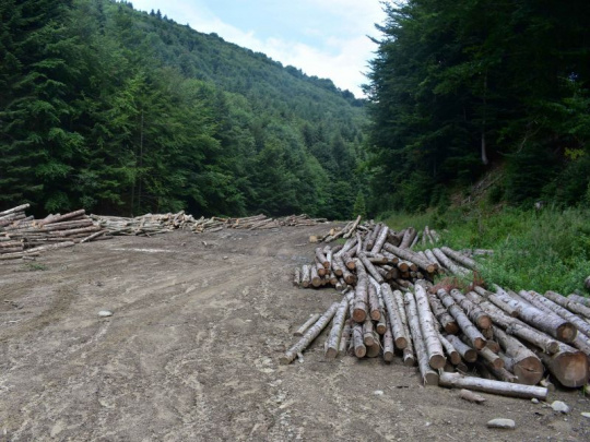 LESY SR ukončili rokovania so strategickými spracovateľmi dreva o podmienkach dodávok drevnej hmoty na rok 2026: Významný pokles disponibilných objemov ihličnatého dreva