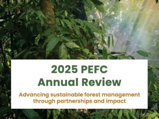 Výročná správa PEFC za rok 2025: Potvrdenie pozície najväčšieho systému certifikácie lesov na svete