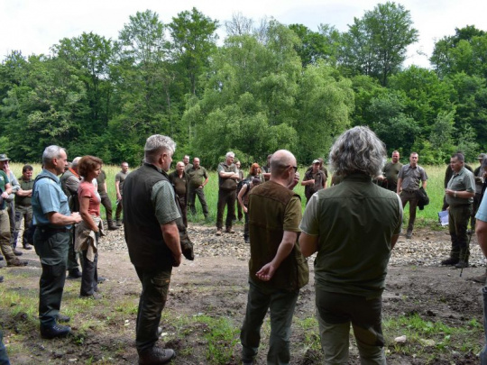 Nový zákon o Slovenskej lesníckej komore (IV. časť): Právomoci, kompetencie, povinnosti a aktivity. Viac hláv, viac rozumu