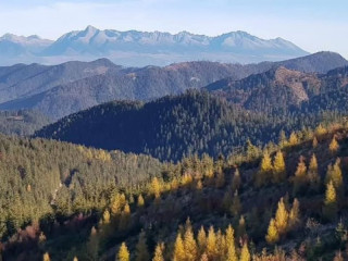 Glosa:  Ak chcú lesníci žiť na výnimku, je to smutné. Po práci lesníkov predsa ostávajú všade lesy a robia radosť všetkým