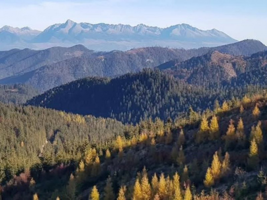 Glosa:  Ak chcú lesníci žiť na výnimku, je to smutné. Po práci lesníkov predsa ostávajú všade lesy a robia radosť všetkým