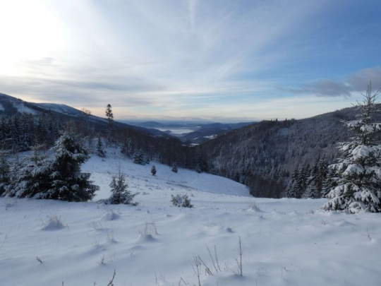 Polemika o verejnom obstarávaní na ťažbu dreva v Národnom parku Muránska planina: Štátny tajomník envirorezortu reaguje na kritiku opozičnej strany