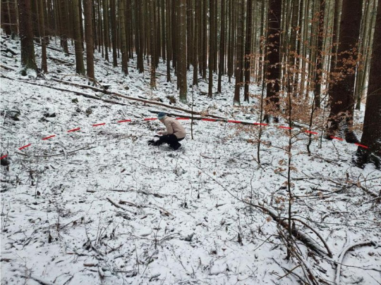 V Turci objavili rozsiahle milierisko, kde sa kedysi vo veľkom vyrábalo drevené uhlie: Uhliarstvo bolo v regióne podľa odborníkov rozšíreným remeslom