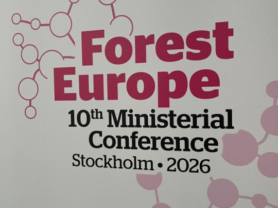 Štokholmská deklarácia ministrov FOREST EUROPE – trvalo udržateľné lesy pre odolnú spoločnosť: Podpora a realizácia aktívneho a trvalo udržateľného hospodárenia v lesoch