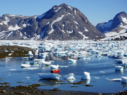 Vedci sa zaoberajú možnosťou ukladania uhlíka splavovaním vyrúbaných stromov do Severného ľadového oceánu: Drevo sa tak nerozkladá a uhlík je uložený na tisíce rokov
