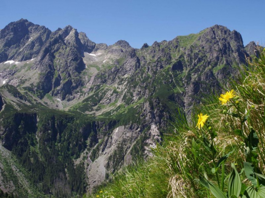 Pokračujúci spor o zonáciu národných parkov: Výzva aktivistov na prepracovanie návrhov a reakcia šéfa envirorezortu o ideológii a priestore na korupciu