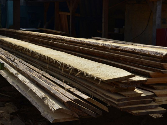 TÝŽDŇOVKA: Kontroverzný obchod so štátnym drevom. Na jednej strane spokojnosť so speňažením, na druhej strane varovania pred dopadmi krízy