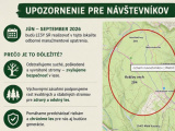 Manažmentové opatrenia v porastoch Lesnej správy Bratislava v lokalite Kráľov: Cieľom je zvýšiť bezpečnosť návštevníkov lesa a podporiť jeho zdravý vývoj