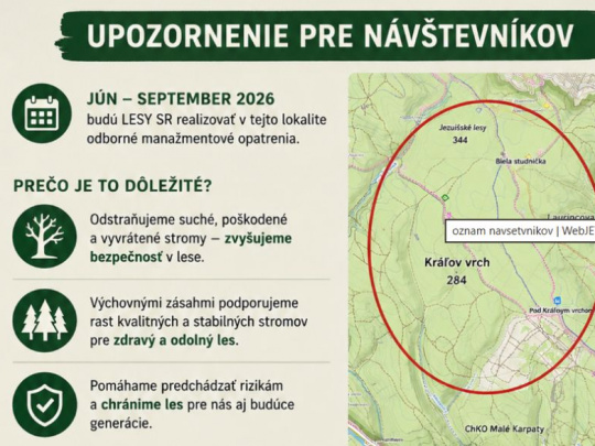 Manažmentové opatrenia v porastoch Lesnej správy Bratislava v lokalite Kráľov: Cieľom je zvýšiť bezpečnosť návštevníkov lesa a podporiť jeho zdravý vývoj