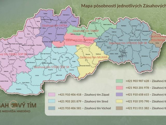 Zásahové tímy ŠOP SR zintenzívnili hliadkovú činnosť: Vyzývajú občanov, starostov a primátorov k aktívnej spolupráci pri nahlasovaní výskytu medveďa hnedého