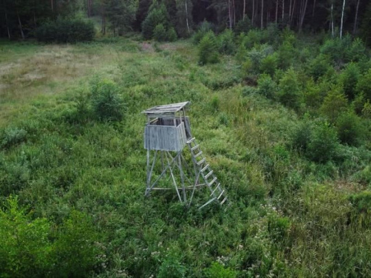 Vlastníci lesov v Českej republike: Miliardové škody spôsobené raticovou zverou bránia v niektorých lokalitách prirodzenej obnove lesov