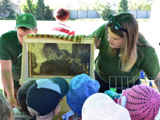 Svetový deň včiel: Význam včelích produktov vrátane medu je zásadný