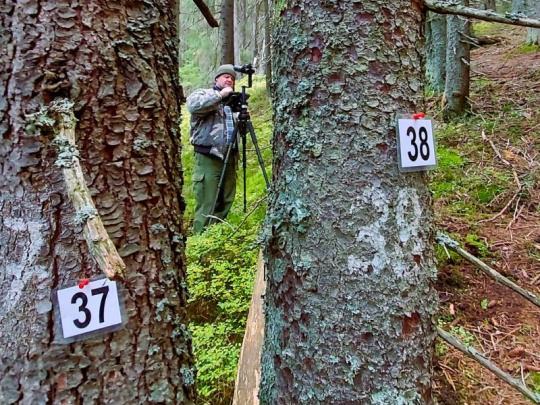 TÝŽDŇOVKA: Deň žien v lesníctve a spracovaní dreva, vedecký výskum pre lesnícku prax, obrovská konkurencia projektov a dôležitosť výziev, tém a hodnotení