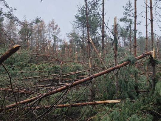 Upozornenie verejnosti z Mestských lesov Košice: Vývraty a polomy v lokalite pri dobývacom priestore