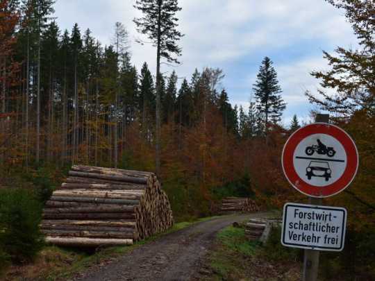 Hospodárenie v štátnych lesoch deviatich krajín EÚ za rok 2024: Prevádzkový hospodársky výsledok na kubík najvyšší vo Švédsku, najnižší na Slovensku. Priemerné tržby za predaj dreva najnižšie v Litve, najvyššie v Rakúsku