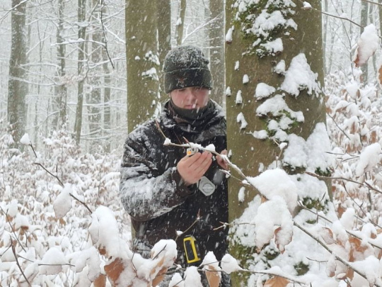 Glosa: Programová pomoc taxátorom a práca za každého počasia v lesoch Hesenska