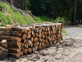 Poradie preferovaných zdrojov vykurovania domácností: Diaľkové vykurovanie a zemný plyn, elektrina, drevo, pelety a biomasa, tepelné čerpadlá