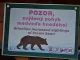 Štátni ochranári vyzývajú k aktívnej spolupráci pri nahlasovaní výskytu medveďa: Včasné informácie umožňujú rýchlu a efektívnu reakciu zásahových tímov
