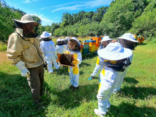 Lesníci a včelári zorganizovali na Kamzíku Festival včiel: Cieľom návrat včiel do lesov