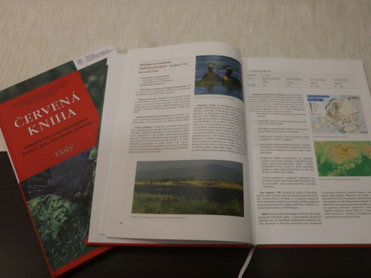 Prvá Červená kniha vtáctva Slovenska: Spomedzi 233 hniezdičov je u nás 12 kriticky ohrozených, 24 ohrozených a 29 zraniteľných druhov