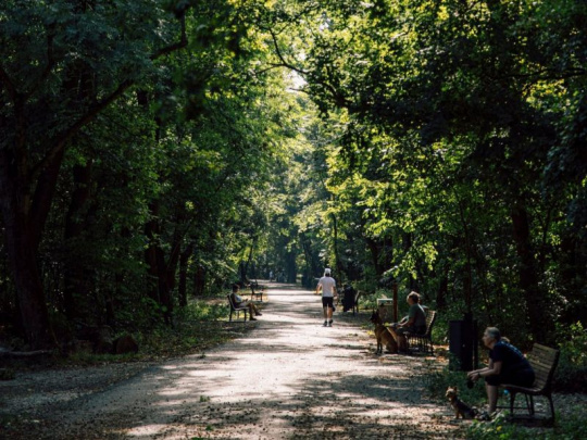 Bratislavskí mestskí lesníci odstraňujú z petržalského lesoparku rizikové stromy: Využívajú šesťkolku s vývoznou súpravou a železného koňa, ktorý minimalizuje poškodenie pôdy aj chodníkov